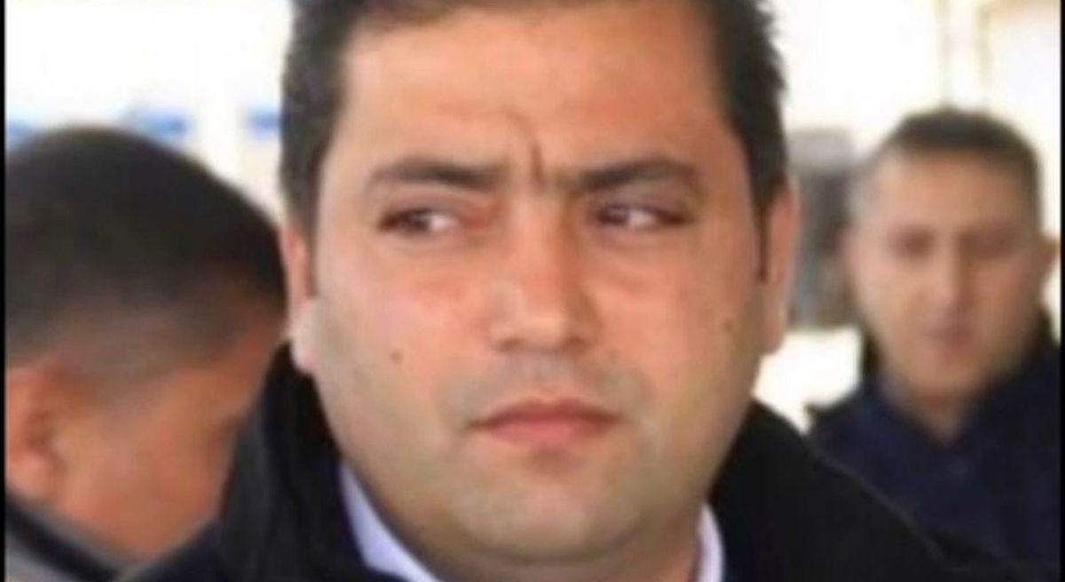 أكاديمية القطط السمان …